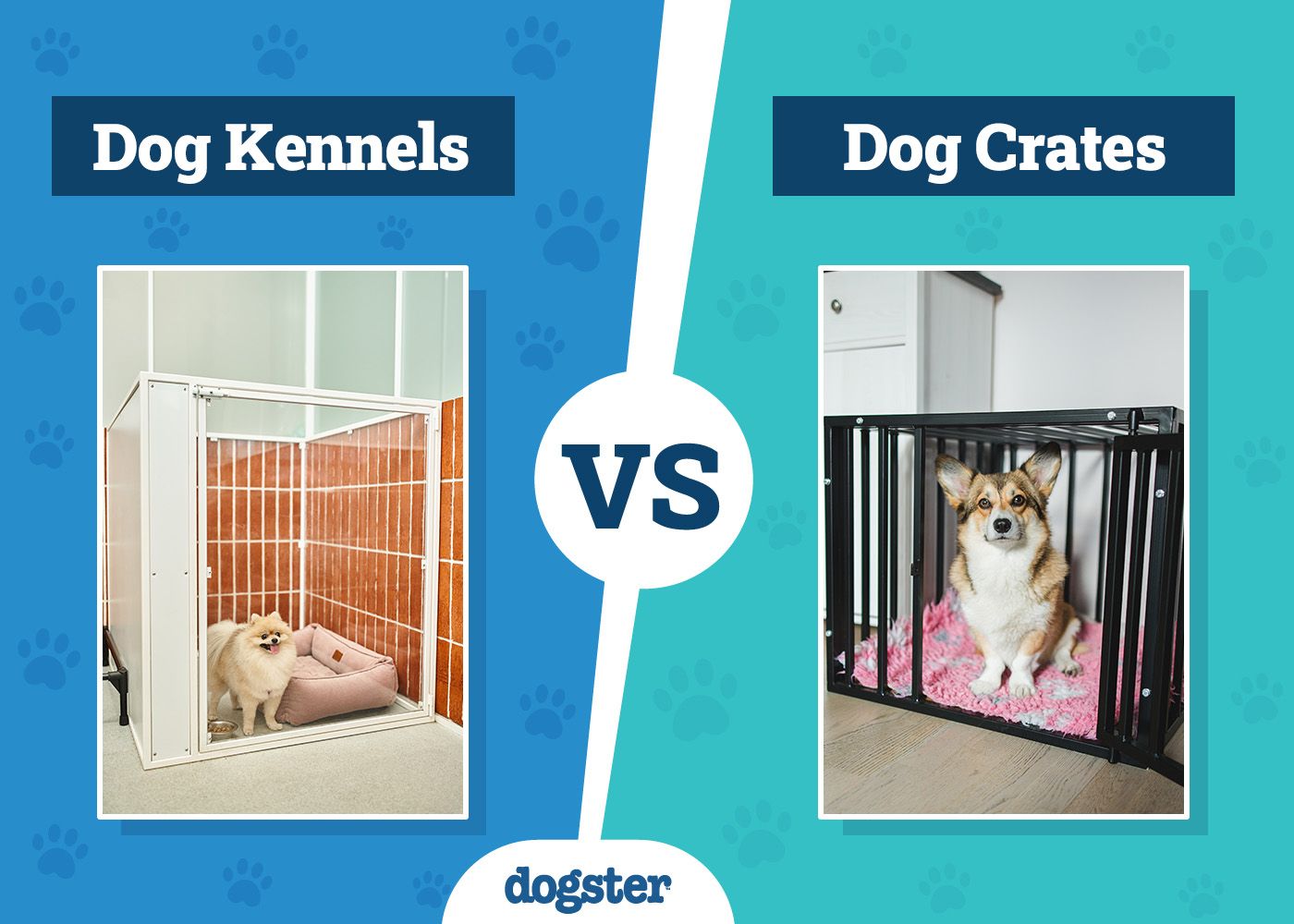Dogster_Dog Kennels VS Crates