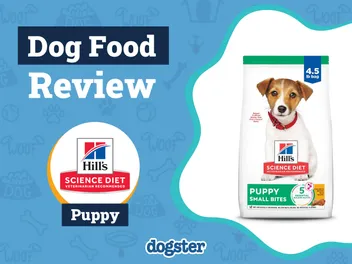 Hill’s Science Diet Puppy Food Review 2026: Recalls, Pros & Cons