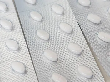 Can Dogs Take Antihistamines? Vet-Verified Safety Facts