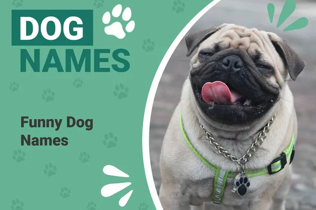 100 Funny Dog Name Ideas Based on The Simpsons
