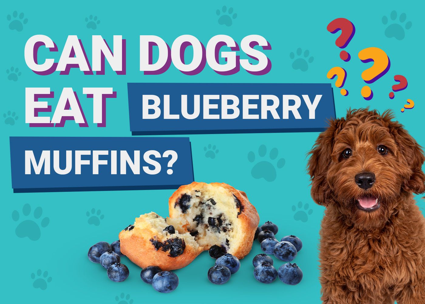 Can-Dogs-Eat-Blueberry-Muffins