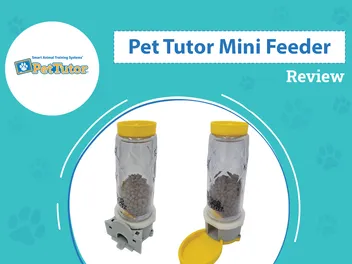 Pet Tutor Mini Feeder Review 2026: Pros, Cons & Verdict