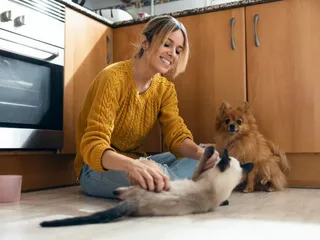 6 Best PetSmart Alternatives in 2026: Are They Better? Our Comparison