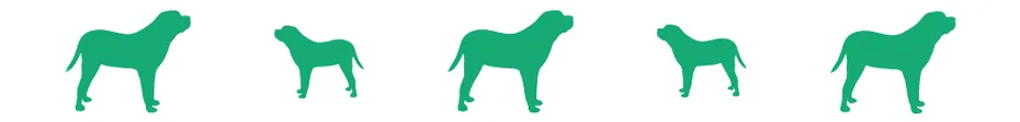 divider-dog