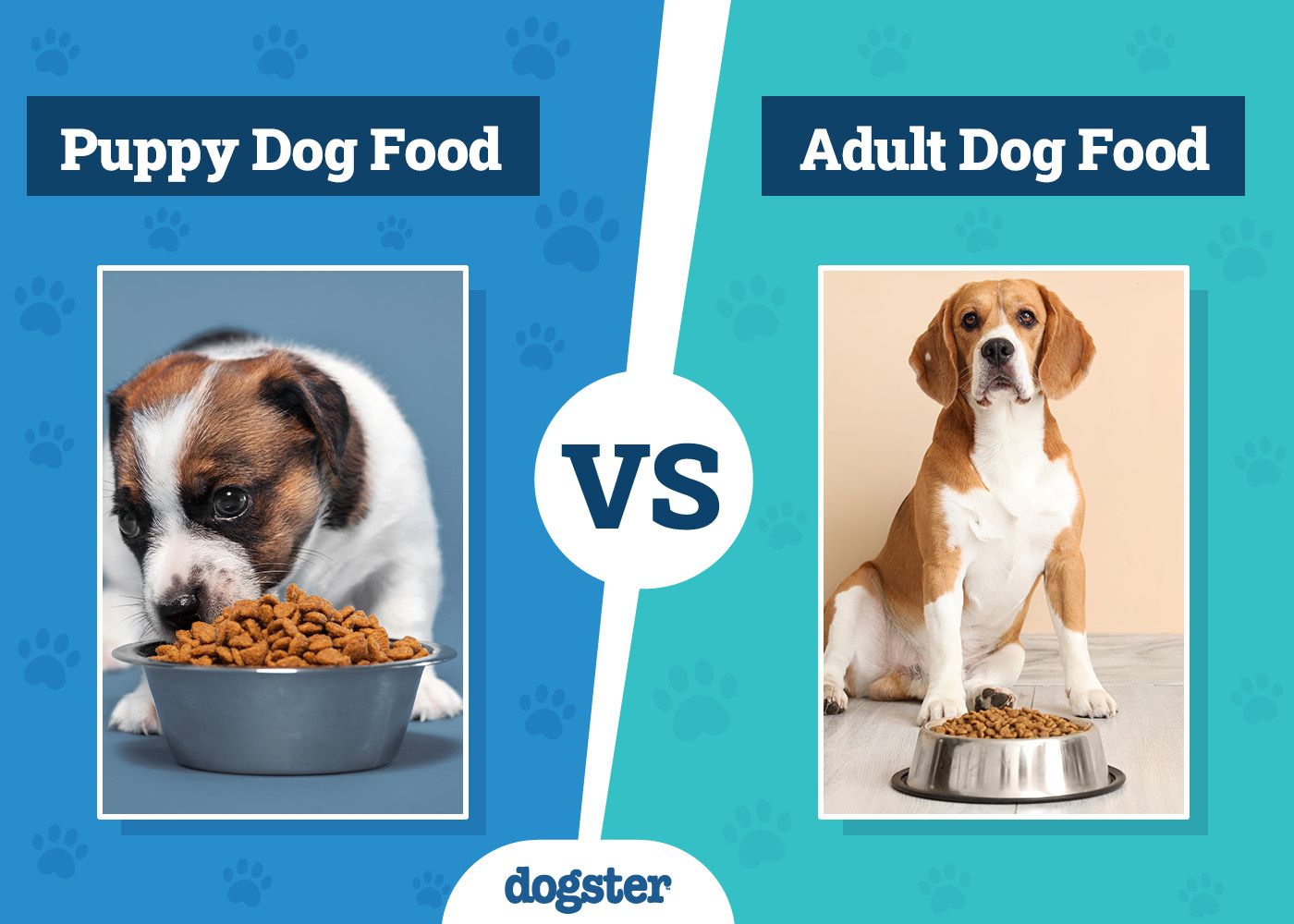 Dogster_Puppy vs Adult Dog Food