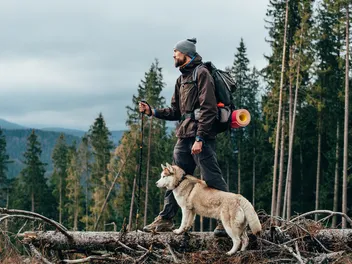 How to Train Your Dog for Hiking: 9 Vet-Verified Helpful Tips