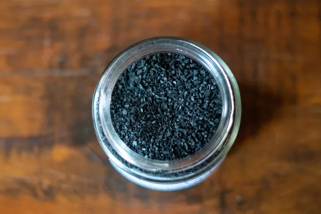 Activated Charcoal in Dogs: Vet-Explained Uses & Potential Side Effects