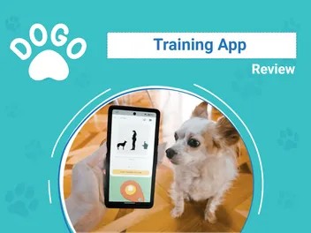 Dogo App Review 2026: An Expert's Breakdown