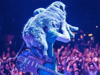 Cocoa the Stick Figure Dog Loves Her Life With Reggae Band