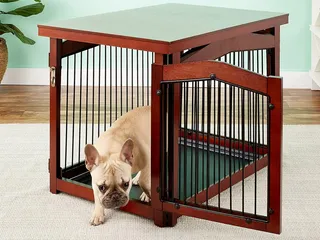10 Best Dog Crates for Separation Anxiety in 2026 - Reviews & Top Picks