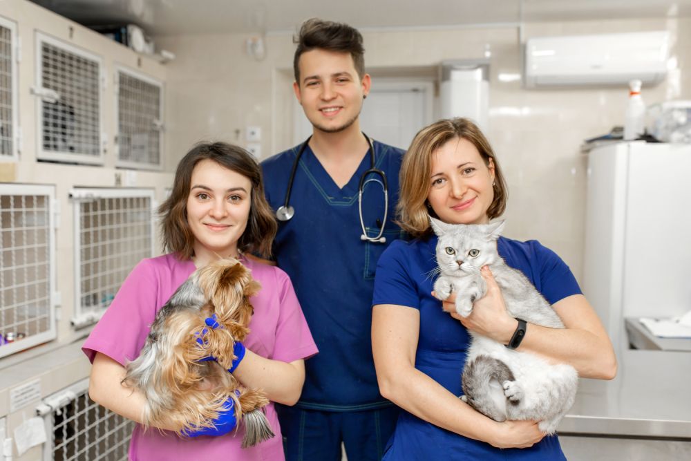 Veterinary professionals are handling a cat and dog inside the clinic