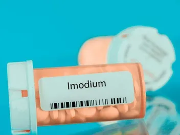 Imodium for Dogs: Is It Okay to Give Your Dog OTC Human Medicine? (Vet Answer)