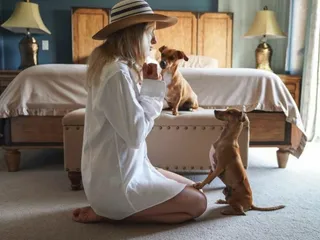 How to Teach Your Dog to Dance: 8 Tips & Tricks (Vet Verified)