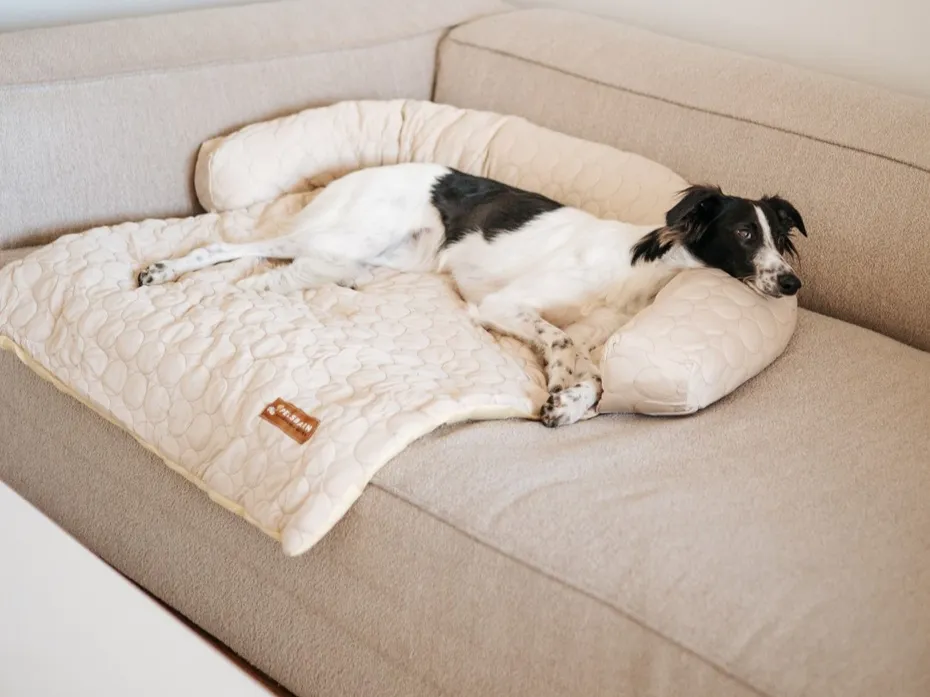 Black and white dog resting on a Pelsbarn cooling bed on a sofa