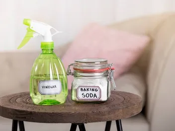 4 DIY Homemade Enzyme Cleaner Recipes for Dog Urine: Easy & Effective