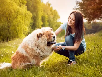 When Is a Dog Considered an Adult? Vet-Approved Facts & FAQ
