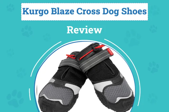 Kurgo Blaze Cross Dog Shoes Review 2026: Pros, Cons & Verdict