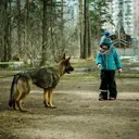 Why Does My Dog Bark at Kids? 6 Likely Reasons