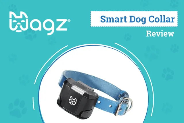 Wagz Freedom Smart Dog Collar Review 2026: Our Expert’s Opinion
