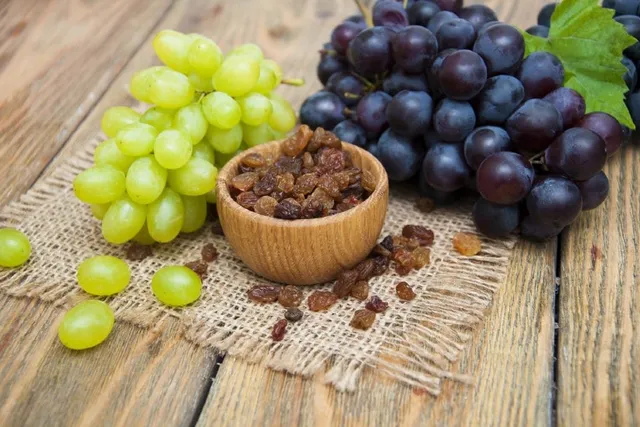 Why Raisins & Grapes Are Toxic To Dogs: Our Vet Explains
