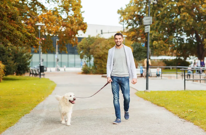 owner with dog strolling and walking at the park