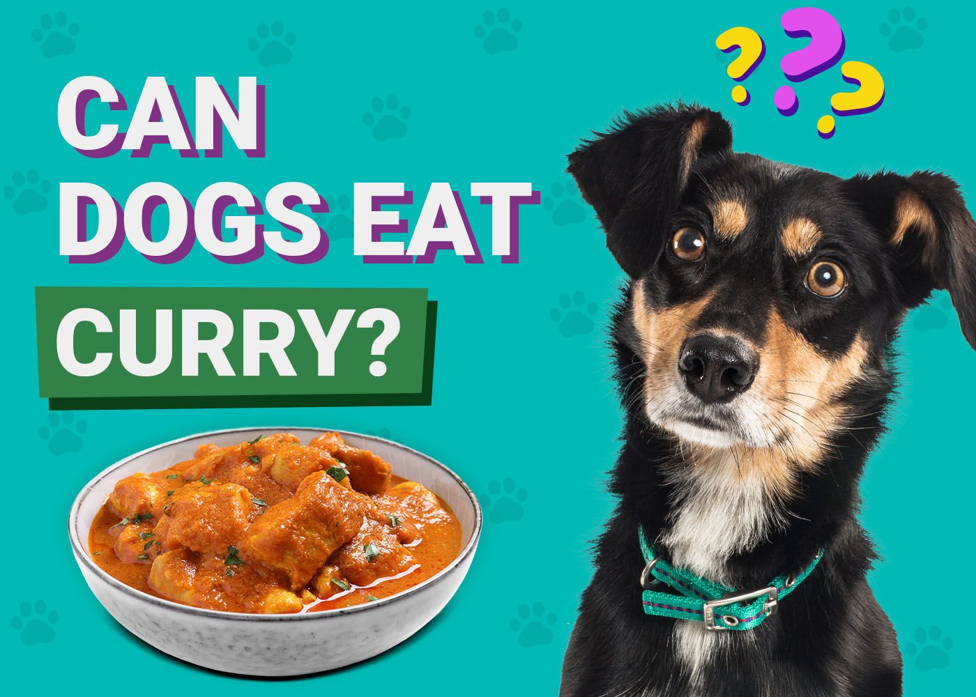 Can Dogs Eat Curry