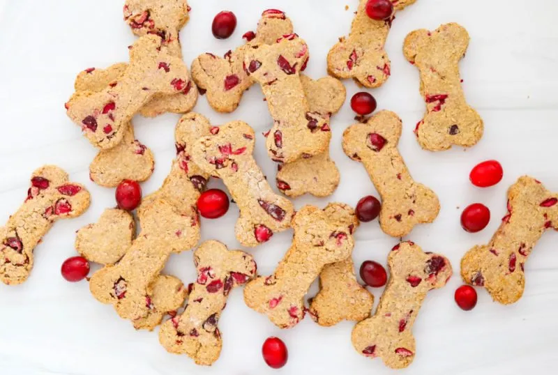 Cranberry Dog Treats