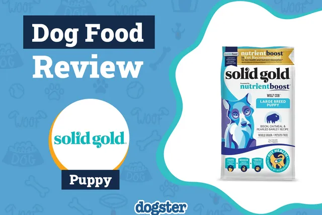 Solid Gold Puppy Food Review 2026: Recalls, Pros & Cons