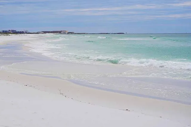 Are Dogs Allowed on Destin Beaches in 2026? Rules & Location Guide