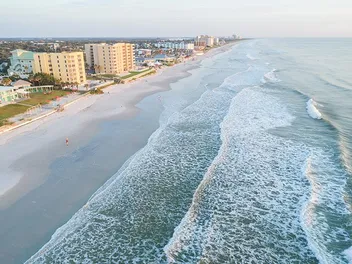 Are Dogs Allowed on New Smyrna Beach? 2026 Update
