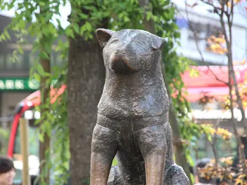 18 Most Popular & Famous Dogs in History (With Info & Pictures)