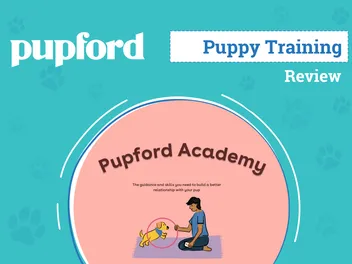 Pupford Academy Puppy Training Review 2026: An Expert's Breakdown