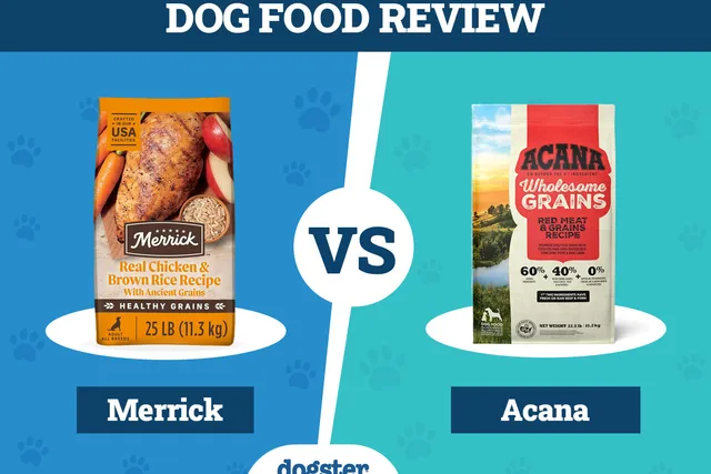 Merrick vs Acana Dog Food: 2026 Comparison, Pros & Cons