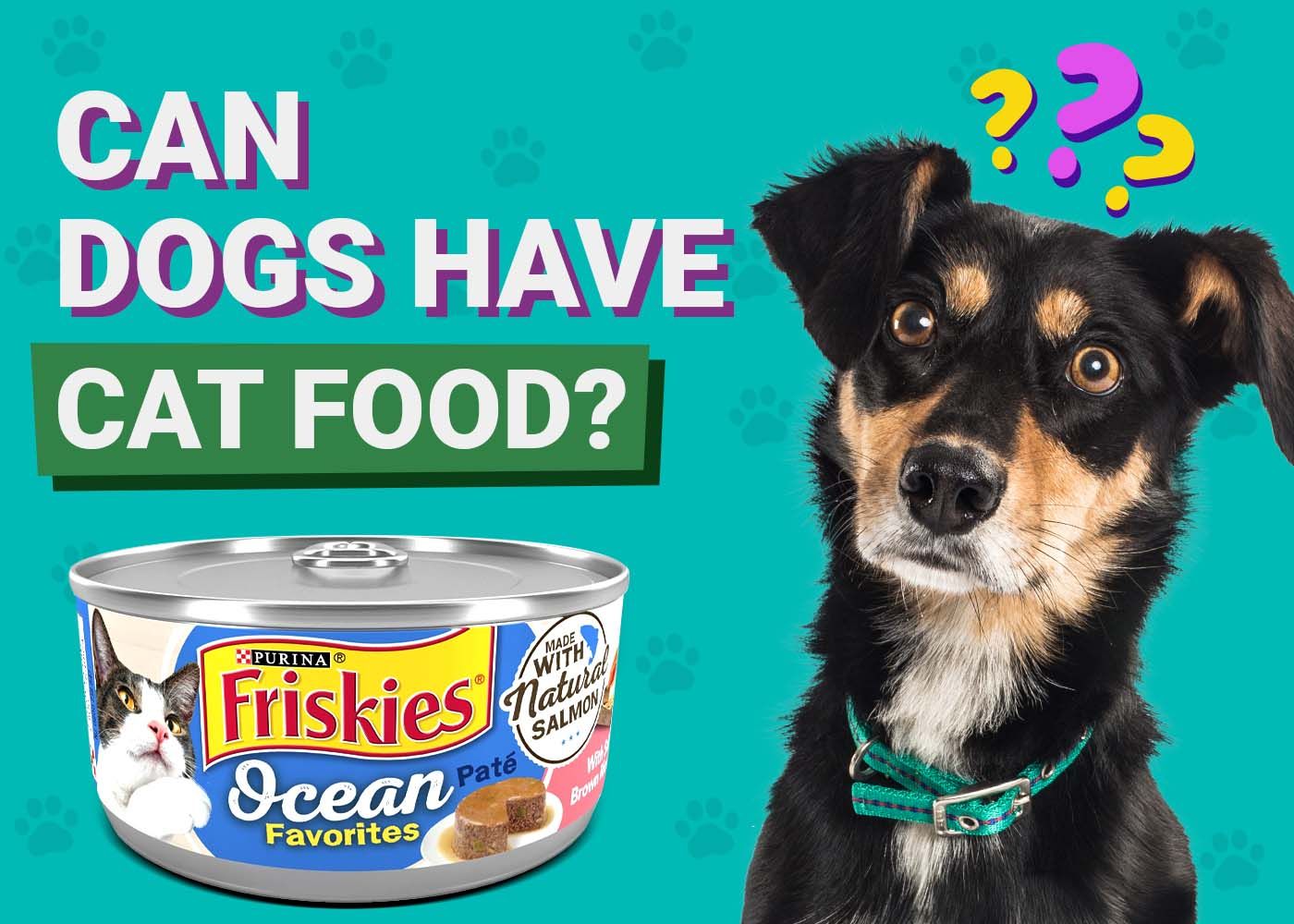 Can Dogs Eat Cat Food