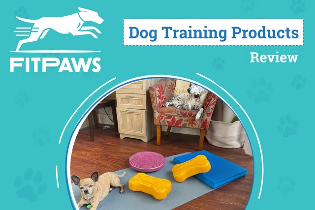 FitPaws Dog Training Products Review 2026: Pros, Cons & Verdict: An Expert's Breakdown