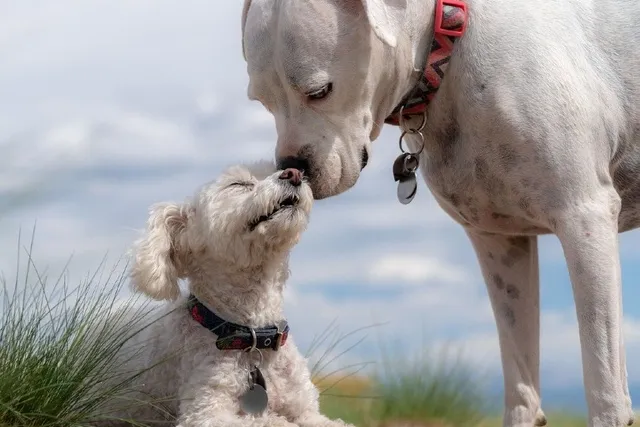 When Can Puppies Live Without Their Mother? Vet-Verified Facts & Info