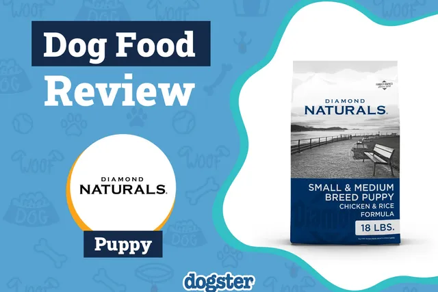 Diamond Puppy Formula Dog Food Review 2026: Recalls, Pros & Cons