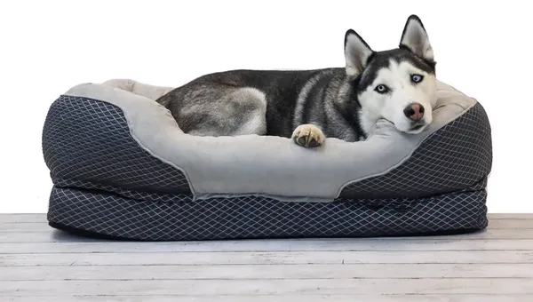 BarksBar Snuggly Sleeper