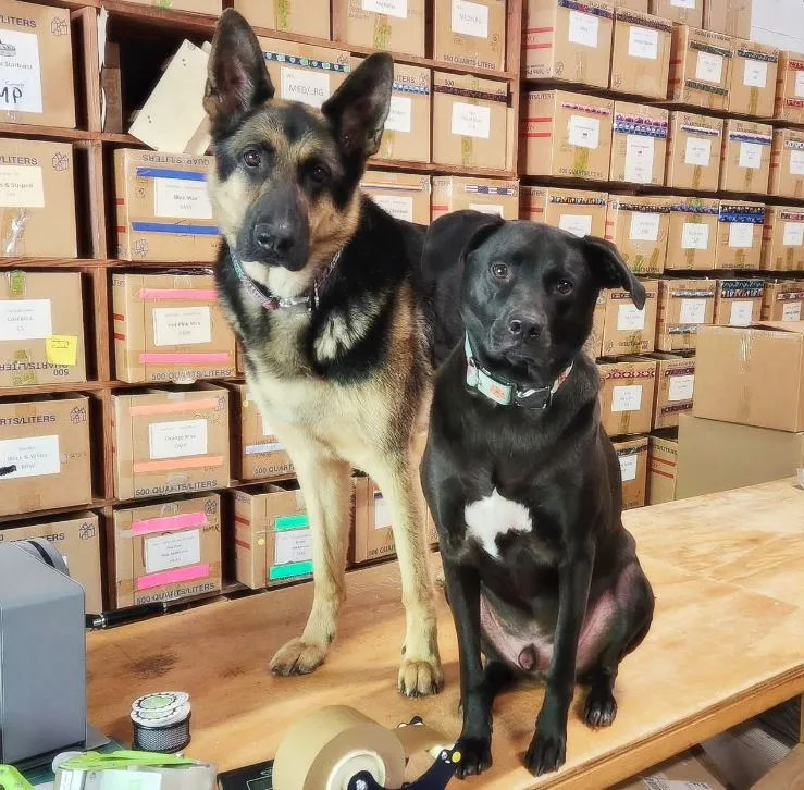 Cycle Dog Tavern & Dog Park