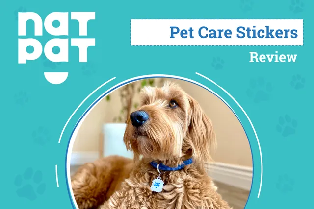 NATPAT Pet Patches Review 2026: An Expert’s Breakdown