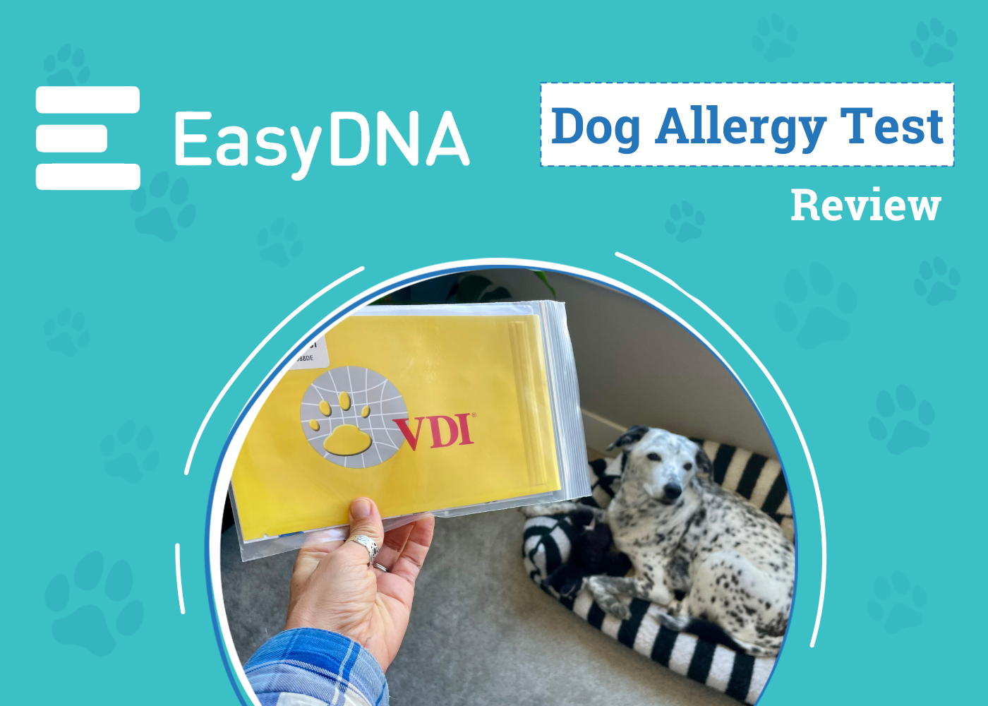 EasyDNA Dog Allergy Test Review - featured image
