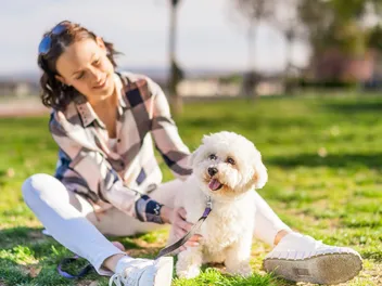 How to Live With Dogs When You Are Allergic: 8 Vet-Approved Tips