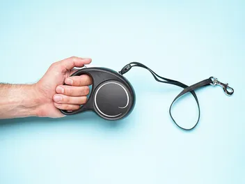 How Does a Retractable Leash Work? 8 Vet Approved Tips & FAQ
