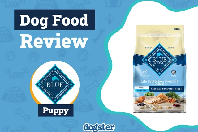 Blue Buffalo Puppy Food Review 2026: Pros, Cons, Recalls & FAQ