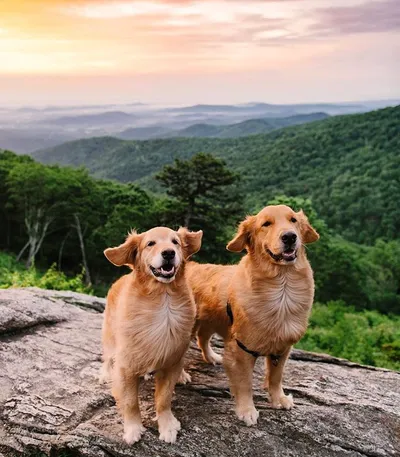 Shenandoah National Park