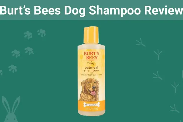 Burt’s Bees Dog Shampoo Review 2026: Our Expert's Opinion