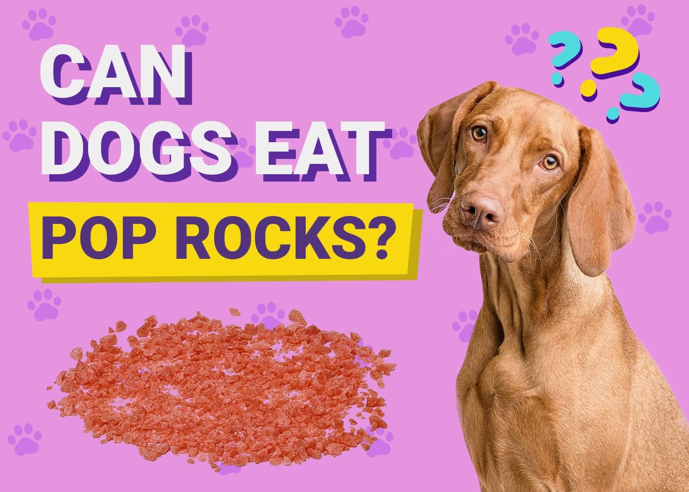 Can Dogs Eat Pop Rocks