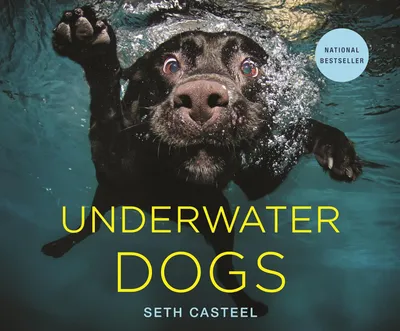 Underwater Dogs by Seth Casteel