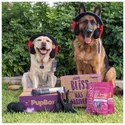 Pupbox Subscription
