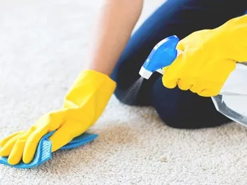 11 Best Enzyme Cleaners for Dog Urine in 2026 - Vet-Reviewed & Top Picks